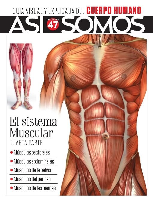 Title details for Así Somos - El cuerpo humano by Media Contenidos - Available